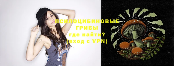 прущий лед Вязники