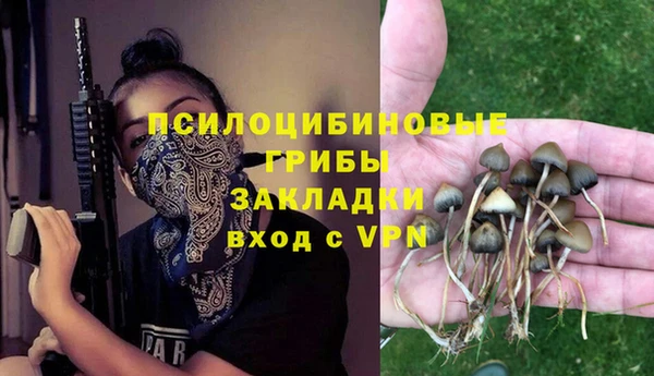 Альфа ПВП Касимов