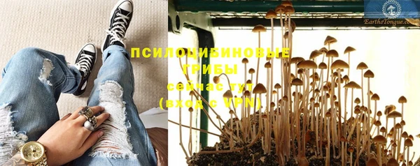 прущий лед Вязники